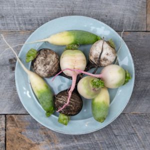 Organic Winter Radish, 1lb