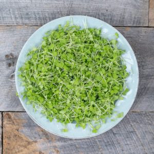 Organic Micro Broccoli, 75g