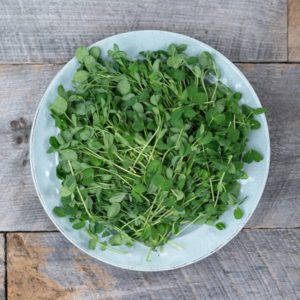 Organic Pea Shoots, 100g
