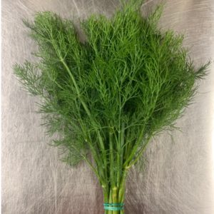 Organic Dill