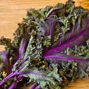 Red Kale, bunched