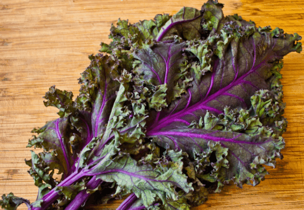 Red Kale, bunched