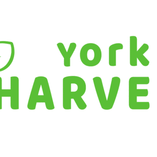 York Harvest