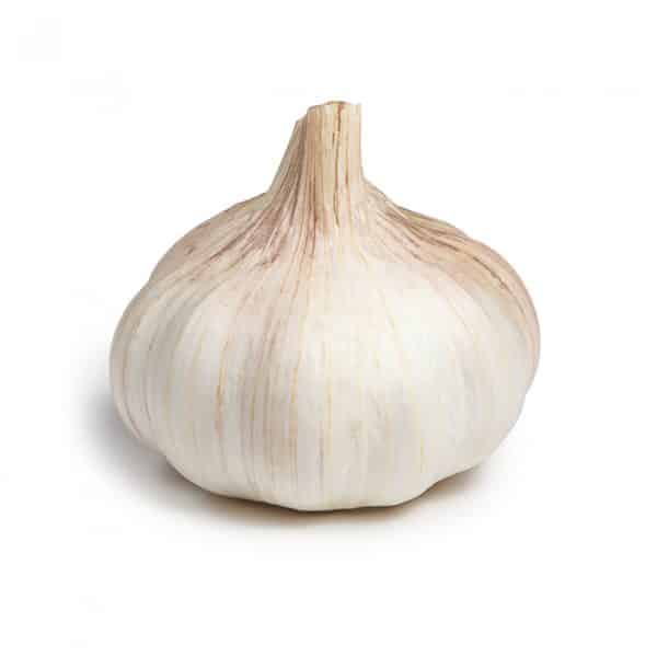 Organic Garlic Bulb x 1