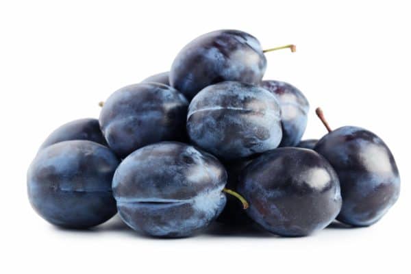Blue Plums, 1.5L
