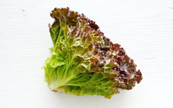 Organic Red Leaf Lettuce