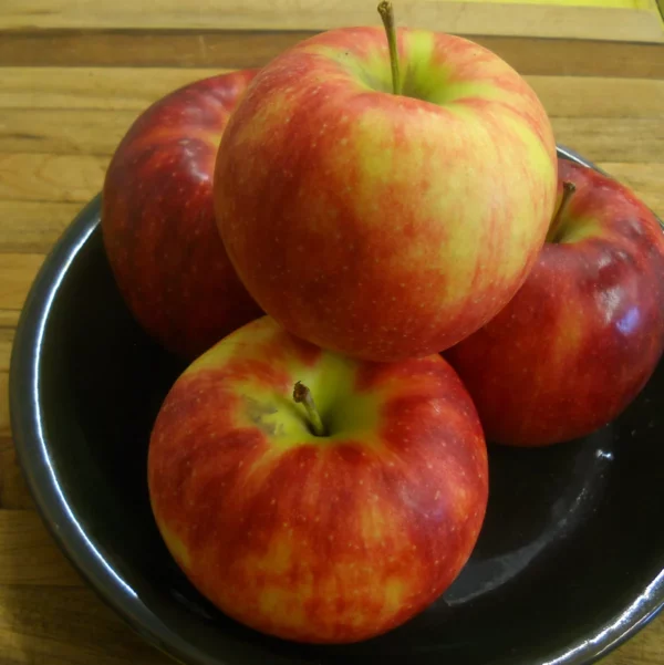 Jonagold Apples, 2lbs
