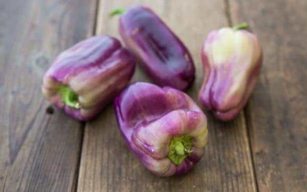 Organic Purple Peppers, 1lb