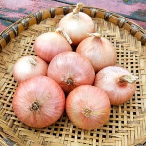 French Rose Onions, 1lb