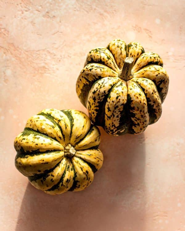 Carnival Squash, 2-3lb